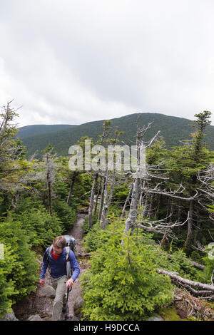 Randonneur en ordre décroissant l'Appalachian Trail (Sentier du ruisseau Castor) sur le sommet du mont Moosilauke, dans la région de Benton, New Hampshire USA Banque D'Images