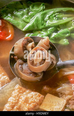 Hot Pot avec queue de boeuf Banque D'Images