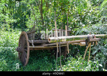 Ancien panier traditionnel en bois au milieu de la forêt de bambou Banque D'Images