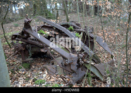 Vieille carcasse de voiture brûlée dans la forêt ou les bois Banque D'Images