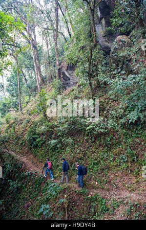 Randonneurs sur Shakti Himalaya's village à pied au Sikkim, en Inde, une visite guidée à pied où vous séjournerez dans des maisons de village. Banque D'Images