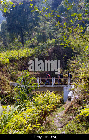 Randonneurs sur Shakti Himalaya's village à pied dans le Sikkim, Inde. Banque D'Images