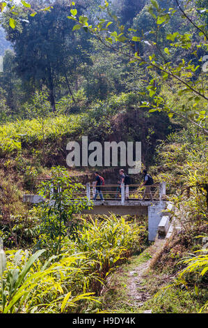 Randonneurs sur Shakti Himalaya's village à pied dans le Sikkim, Inde. Banque D'Images