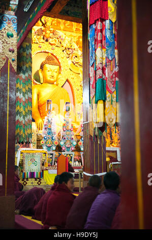 Les moines novices au monastère de Tawang participer à matin puja, ou de prières. Banque D'Images