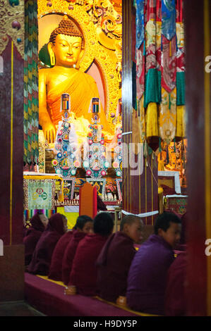 Les moines novices au monastère de Tawang participer à matin puja, ou de prières. Banque D'Images