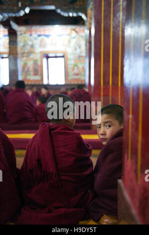 Les moines novices au monastère de Tawang participer à matin puja, ou de prières. Banque D'Images