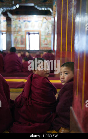 Les moines novices au monastère de Tawang participer à matin puja, ou de prières. Banque D'Images