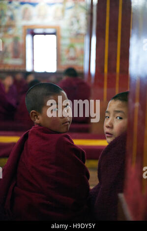 Les moines novices au monastère de Tawang participer à matin puja, ou de prières. Banque D'Images