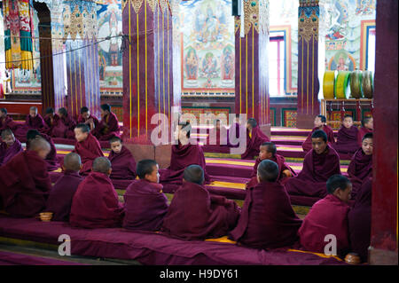 Les moines novices au monastère de Tawang participer à matin puja, ou de prières. Banque D'Images