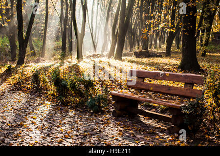 Matin brumeux d'automne Banque D'Images