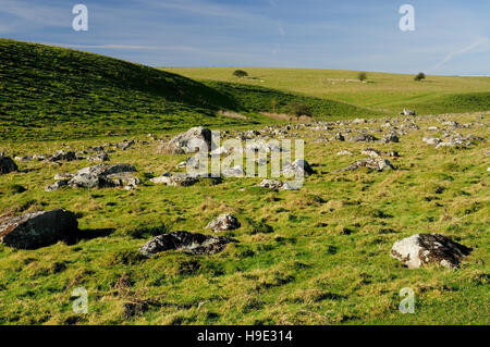 Pierres Sarsen (gris wethers) à Fyfield, partie de la Marlborough Downs. Banque D'Images