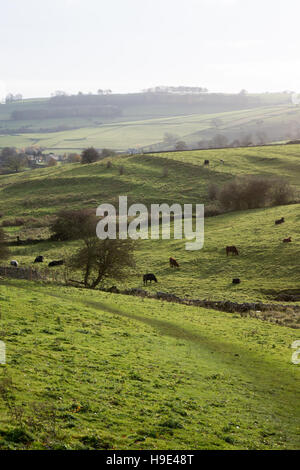 Image éditoriale du Monsal Trail dans le Peak District, Derbyshire donnant sur les terres agricoles, vers Ashford Banque D'Images