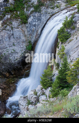 Sur la chute d'Adam Creek dans l'Oregon est Montagnes Wallowa. Banque D'Images