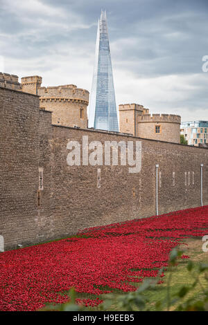 Août 2014 - Londres, Royaume-Uni : presque 900 000 coquelicots en céramique sont installés à la Tour de Londres pour commémorer la participation de la Grande-Bretagne Banque D'Images