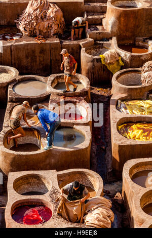 L'Chouwara tannerie dans la Médina de Fès el Bali, Fès, Maroc Banque D'Images