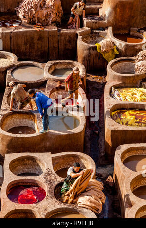 L'Chouwara tannerie dans la Médina de Fès el Bali, Fès, Maroc Banque D'Images