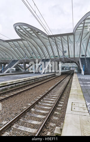 Liège, Belgique - Décembre 2014 : Toit détaillé de la gare Liège-guillemins, conçue par Santiago Calatrava. Banque D'Images