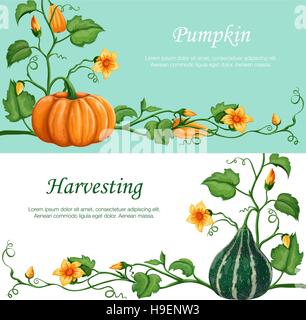 Fête des récoltes des bannières. Fruits d'automne. Vector illustration réalisée dans un style réaliste. Illustration de Vecteur