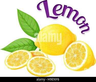 Le citron. Vector illustration Illustration de Vecteur