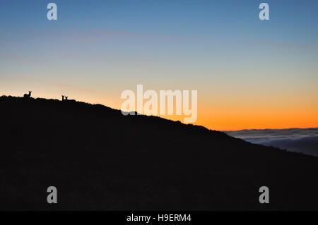 Wicklow Mountains Banque D'Images