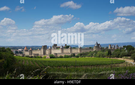 Cité médiévale fortifiée de Carcassonne, Languedoc-Roussillon, France Banque D'Images