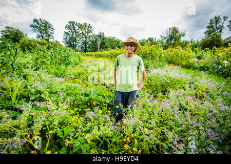 Caucasian farmer wearing cowboy hat in field Banque D'Images