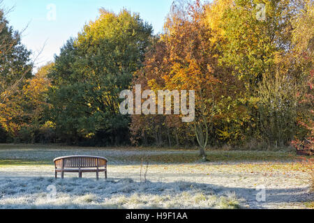 Givre sur un banc de jardin en automne paysage des parcs Banque D'Images