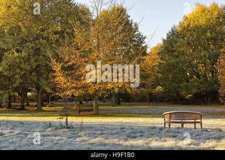 Givre sur un banc de jardin en automne paysage des parcs Banque D'Images