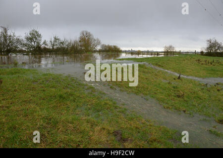 Les inondations sur les niveaux de Somerset près de Muchelney que heavy rain, des vents forts et des inondations ont entraîné des troubles partout au pays. Banque D'Images