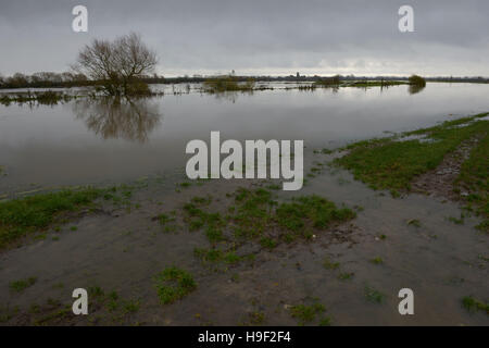 Les inondations sur les niveaux de Somerset près de Muchelney que heavy rain, des vents forts et des inondations ont entraîné des troubles partout au pays. Banque D'Images