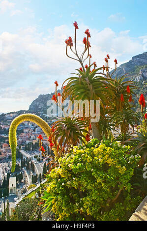 La ville pittoresque de plantes de jardin exotique de Monaco, situé sur la pente rocheuse escarpée et donnant sur la ville. Banque D'Images