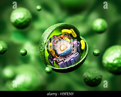 Cellule animale anatomie sur fond vert. 3D illustration. Banque D'Images