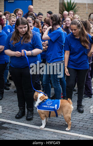 Londres, Royaume-Uni. 7 Septembre, 2016. Les bénévoles lors de la visite de la duchesse de Cornwall à Battersea Dogs and Cats Home. Banque D'Images