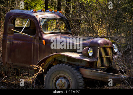 Vieux camion Dodge 1952 Banque D'Images