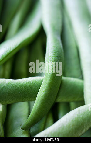 Close up de fèves dans la lumière du soleil Banque D'Images