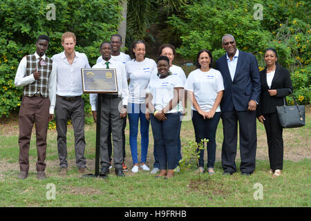 Le prince Harry permet de planter un arbre lors de la dédicace de la Victoria Park Botanical Gardens à l'imprimeur de la Canopée du Commonwealth, qu'il continue sa tournée dans les Caraïbes. Banque D'Images