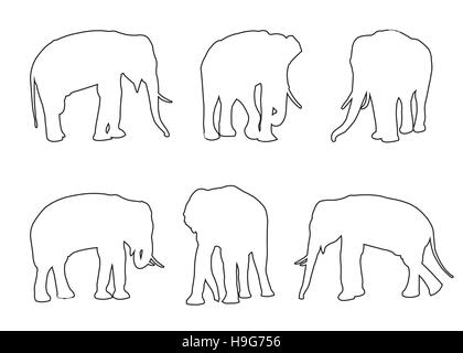 Définir le chemin d'éléphant sur le fond blanc Illustration de Vecteur