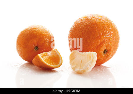 Mandarine (Citrus reticulata) et d'une clémentine (Citrus aurantium) × Banque D'Images
