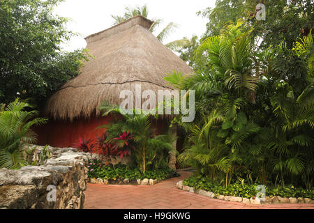Hutte traditionnelle ou accueil fabriqué à partir de matériaux naturels et toit de chaume, Cozumel, péninsule du Yucatan, Quintana Roo, Mexique. Banque D'Images