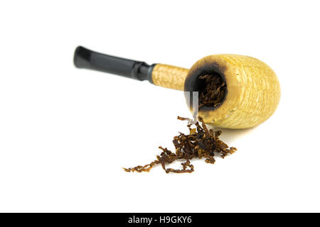 Portrait d'isolé sur tuyau d'épis de maïs blanc Banque D'Images