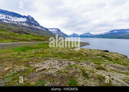 Littoral et paysage dans la région des fjords de l'Est, l'Islande Banque D'Images