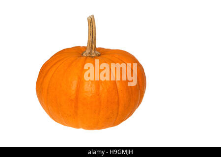 Courge orange pumpkin isolated on white Banque D'Images