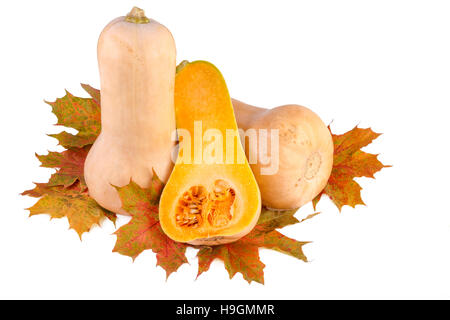 Les citrouilles avec automne feuilles isolées sur fond blanc Banque D'Images