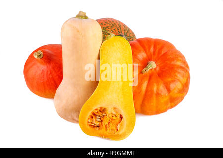 Les citrouilles colorés sur fond blanc. Squash différentes citrouilles isolé sur blanc. Banque D'Images