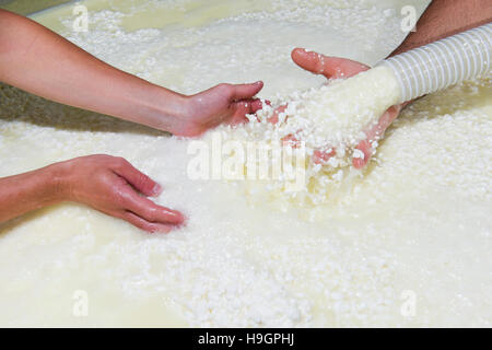 Fromage fromager verse juste figée dans les formulaires pour l'évolution Banque D'Images