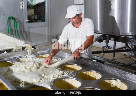 Fromage fromager verse juste figée dans les formulaires pour l'évolution Banque D'Images