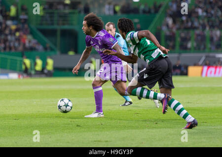 Lisbonne, Portugal. 22 Nov, 2016. Le défenseur du Real Madrid du Brésil Marcelo (12) au cours de la partie de la Ligue des Champions, groupe F, Sporting CP vs Real Madrid CF Crédit : Alexandre de Sousa/Alamy Live News Banque D'Images