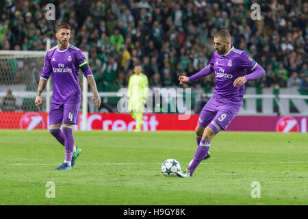 Lisbonne, Portugal. 22 Nov, 2016. L'avant du Real Madrid Karim Benzema de France (9) pendant le match de la Ligue des Champions, groupe F, Sporting CP vs Real Madrid CF Crédit : Alexandre de Sousa/Alamy Live News Banque D'Images