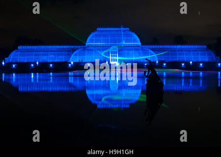 Londres, Royaume-Uni. 22 novembre, 2016. Le Palm House illuminés par les rayons laser pour le Sentier lumineux Noël à Kew en 2016. Plus de 60 000 s'éclairent les arbres, plantes et jardins. Le sentier est plus qu'un mille de long et comprend des œuvres des deux artistes britanniques et internationaux et les concepteurs. Le sentier s'ouvre le 23 novembre et dure jusqu'au 2 janvier 2017. Credit : Tricia de Courcy Ling/Alamy Live News Banque D'Images