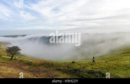 Brighton, Sussex, UK. 23 Nov, 2016. Un chien walker jouit de la brume et le brouillard cascadant des collines de démons digue le long de la South Downs au nord de Brighton ce matin, après ces derniers jours de t temps orageux dans tout le Royaume-Uni Crédit : Simon Dack/Alamy Live News Banque D'Images